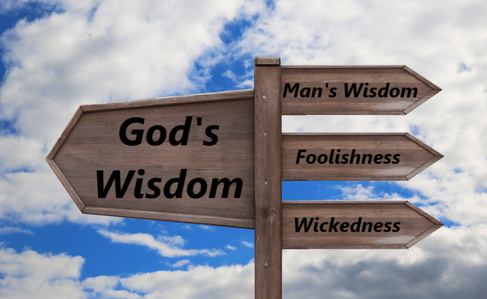 Gaining Wisdom